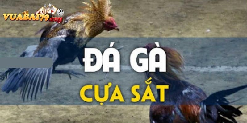 đá gà cựa sắt