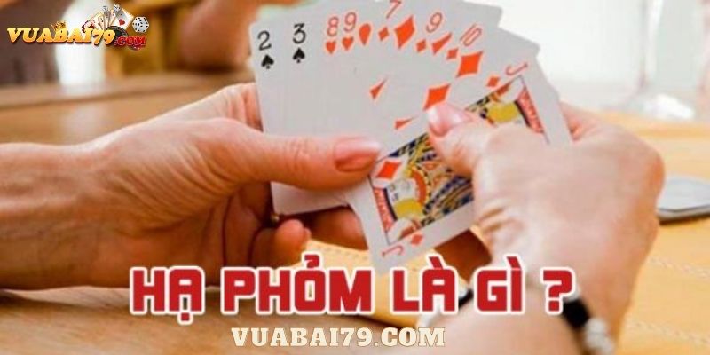 hạ phỏm là gì