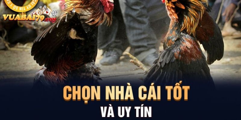 đá gà trên mạng