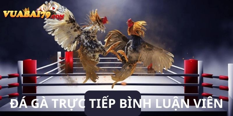 đá gà trực tiếp bình luận viên