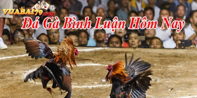 đá gà trực tiếp bình luận viên