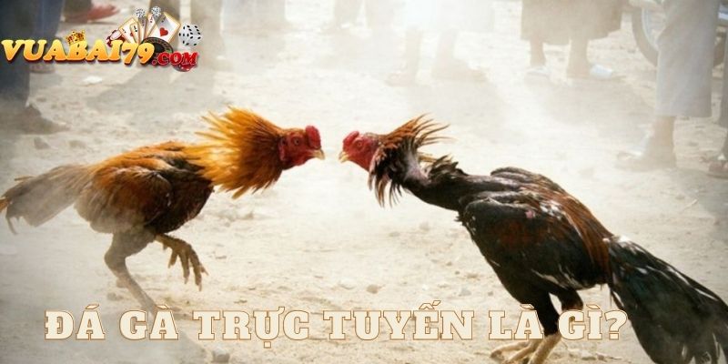 đá gà trực tuyến