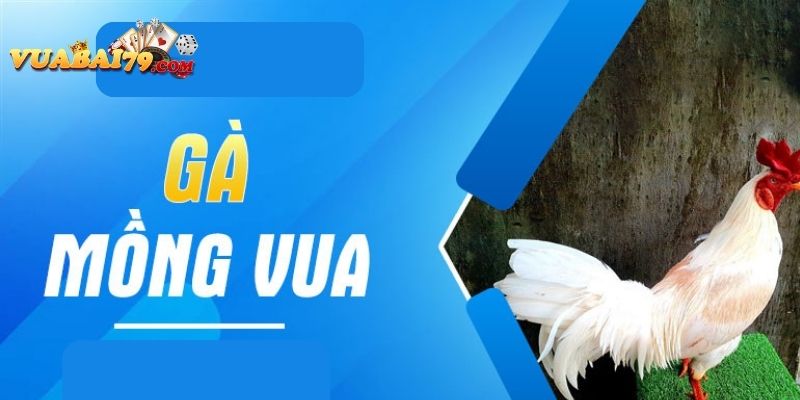 gà mồng vua là gì