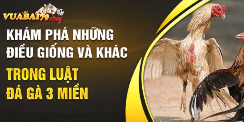 luật đá gà 3 miền