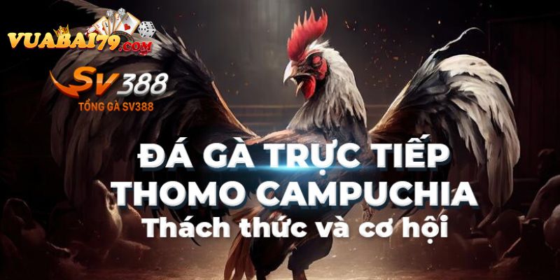 trực tiếp đá gà campuchia