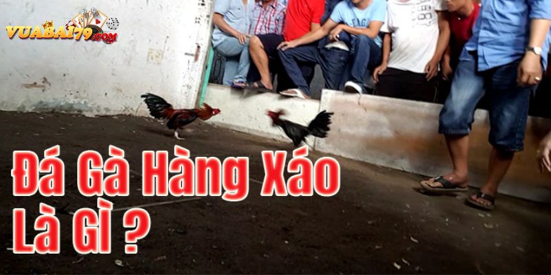 đá gà hàng xáo