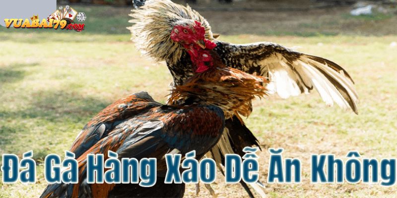 đá gà hàng xáo