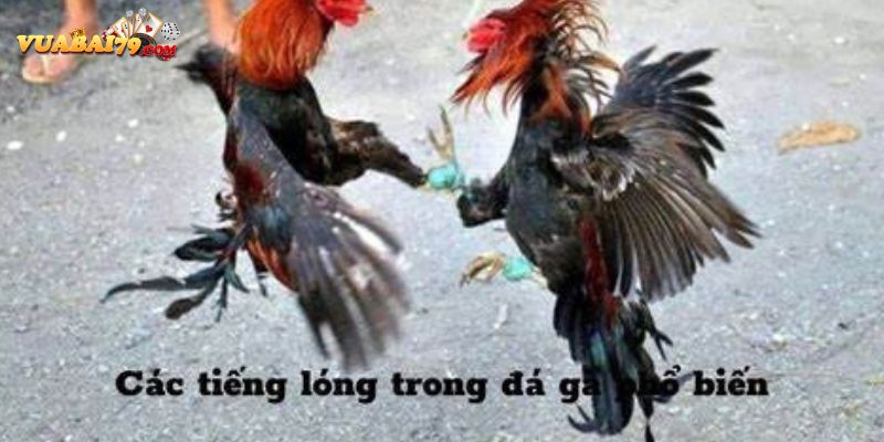 tiếng lóng trong đá gà